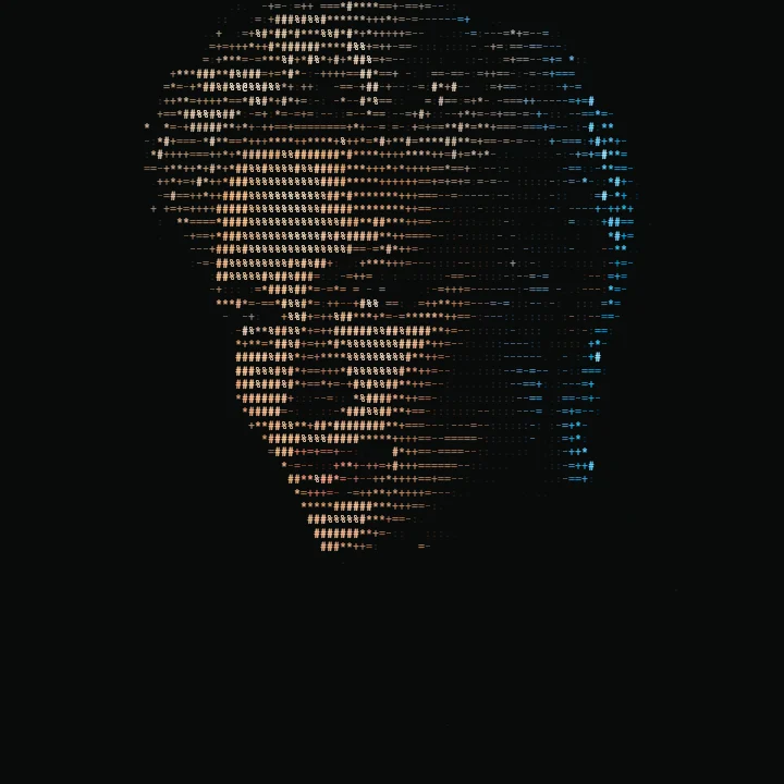 Portrait / 120 columns rendered with Dense characters